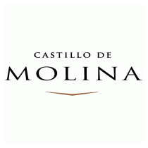 Castillo de Molina