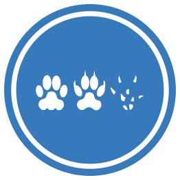 Cat-Dog-Mouse Unification Peace Logo