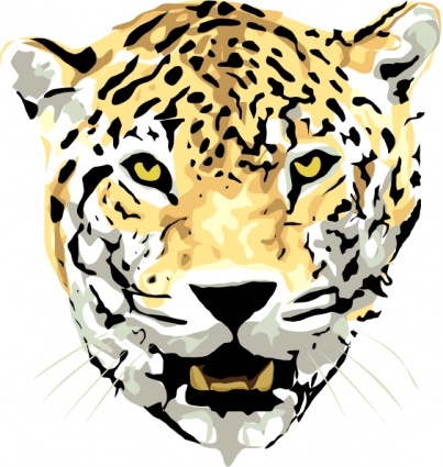 Cat Head Outline Drawing Face Cartoon Wild Jaguar Animal Jungle Mammal Carnivore Jaguars