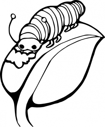 Catterpillar On Leaf clip art