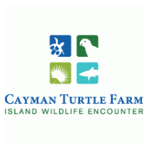 Cayman Turtle Farm