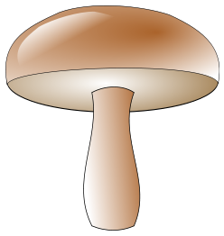 Champignon