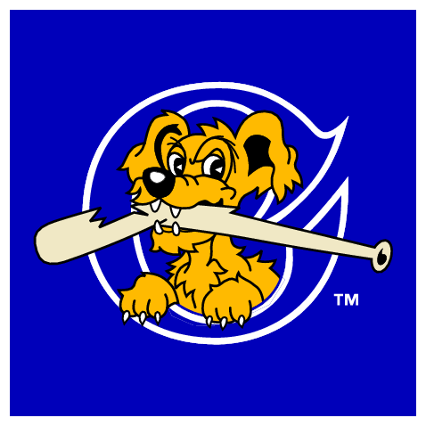 Charleston Riverdogs