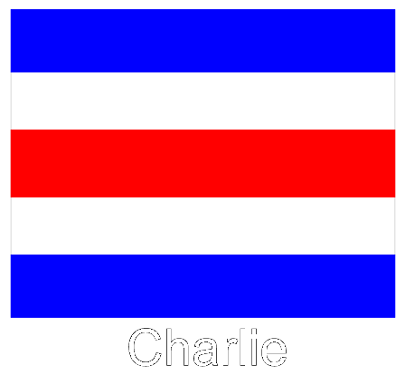 Charlie Flag