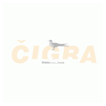 Cigra