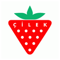 Cilek Genc Odasi