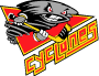 Cincinnati Cyclones Vector