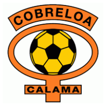 Club de Deportes Cobreloa de Calama