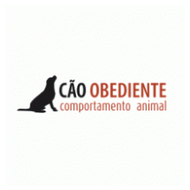 Cão Obediente - Adestramento de Cães