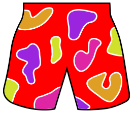 Colorful beach shorts