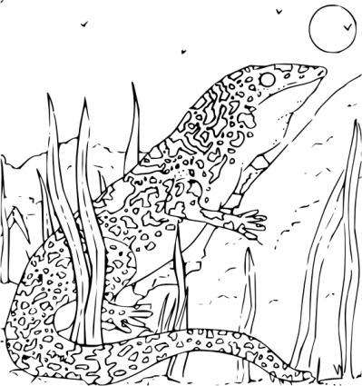 Coloring Book Monitor Gecko clip art