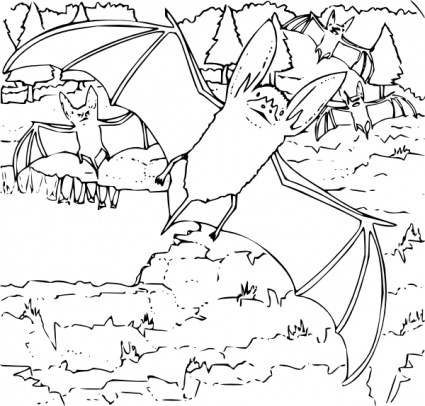 Coloring Book Ozark Big Eared Bat clip art