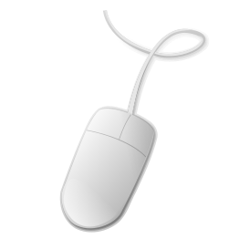 Computer Mouse