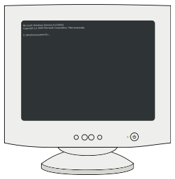 Computer screen