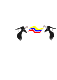 Condor Colombiano