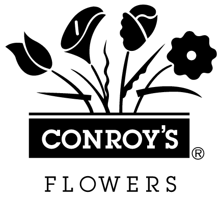 Conroy S Flowers