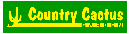 Country Cactus