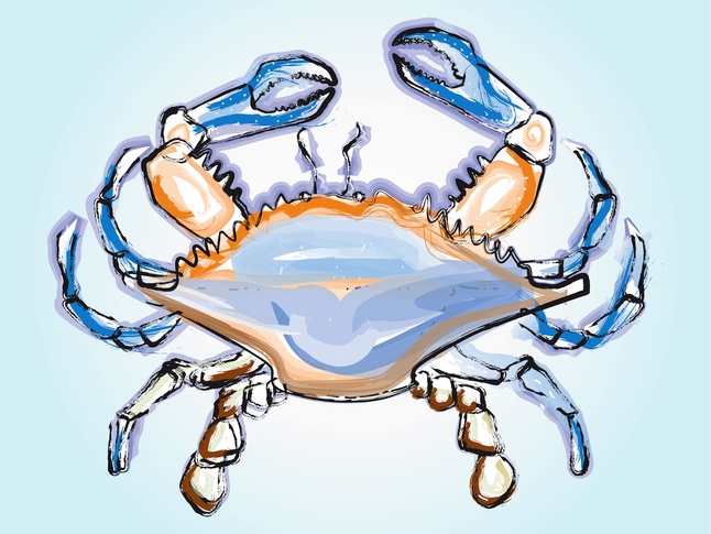 Crab Illustration