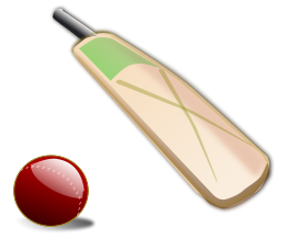 Cricket_02