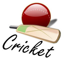 Cricket_03