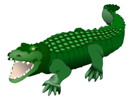 Crocodile