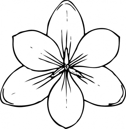 Crocus Flower Top View clip art