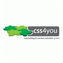 CSS consulting & service solution