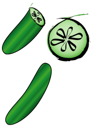 Cucumber