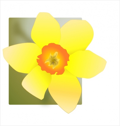 Daffodil clip art