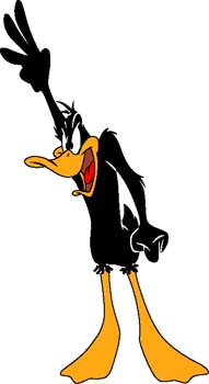 Daffy 16