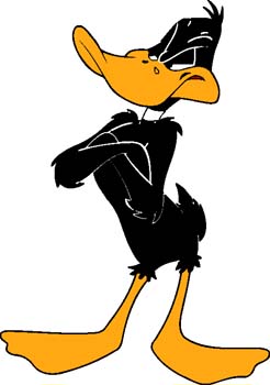 Daffy 5