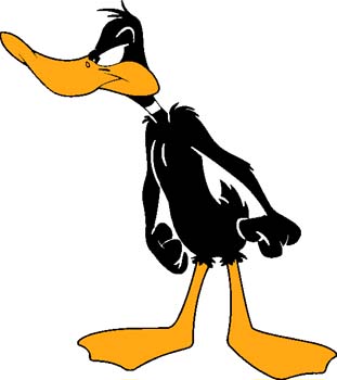 Daffy 8