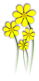 Daisies