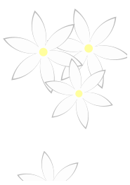 Daisies