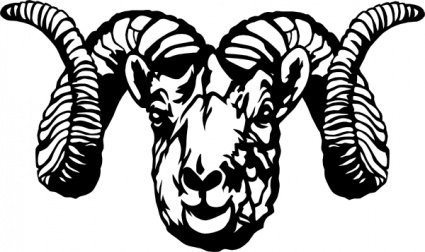 Dall Sheep Ram clip art