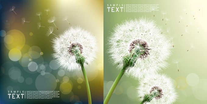 Dandelion Vector