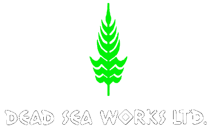 Dead Sea Works