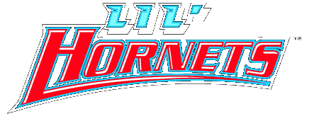 Delaware State Hornets