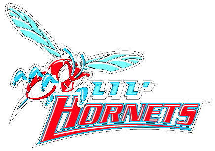 Delaware State Hornets