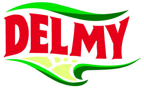 Delmy