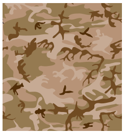 Desert Camo Print