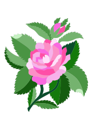 Design for damask rose