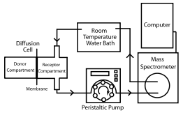 Diffusion and Permeability Measurement Apparatus- Mass Spectrometer