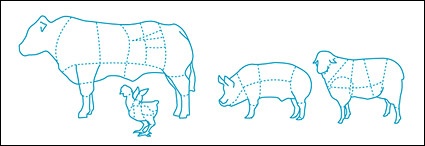 Distribution of consumption of chicken