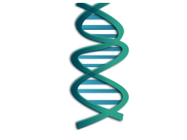 Dna