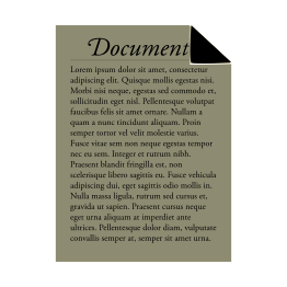 Document icon