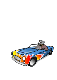 Dog in Sports Car