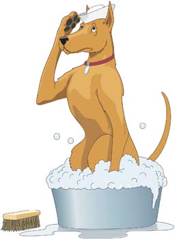 Dog Vector 17