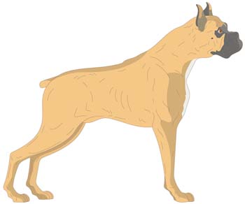 Dog Vector 3