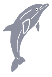 Dolphin